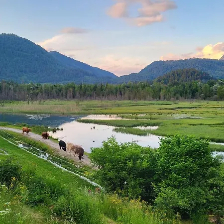 شقة Bauernlodge-musauer-lechauen Musau