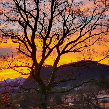 شقة Bauernlodge-musauer-lechauen *