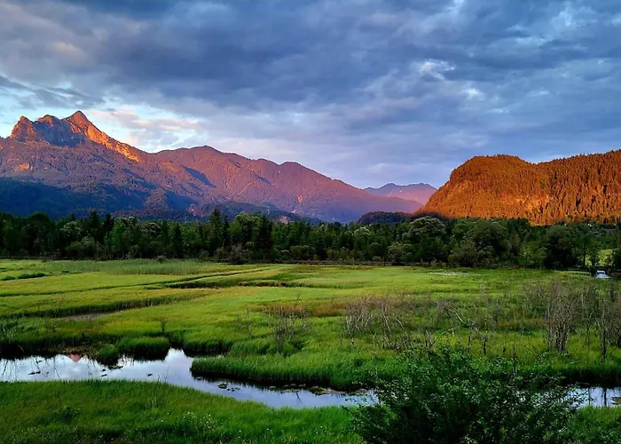 Daire Bauernlodge-musauer-lechauen *