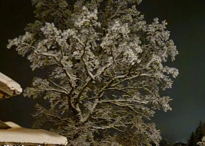 Bauernlodge-musauer-lechauen Daire *